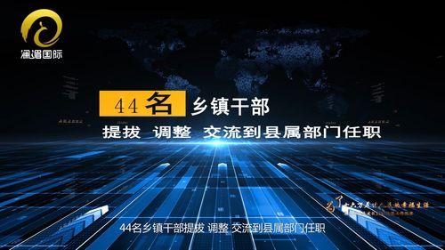 国产精品久久久久久久毛片,探寻久久久久久久毛片的魅力与内涵